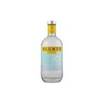 Gin Bluwer Invisible